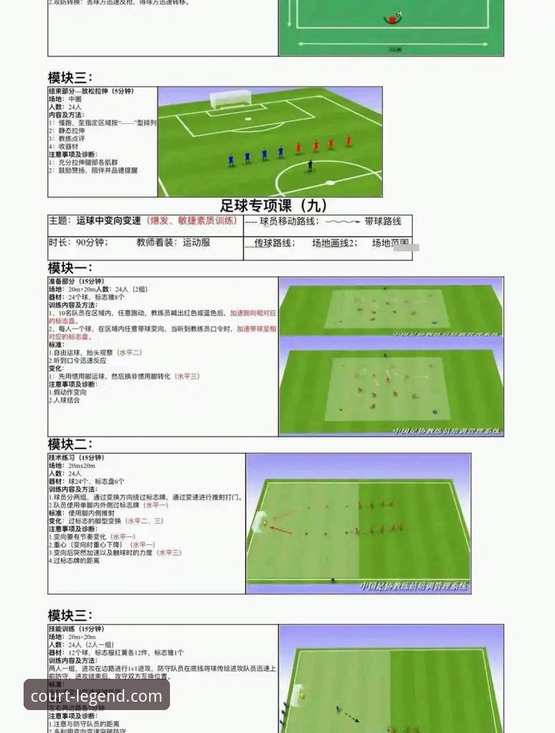 瑞典中场贝里瓦尔世界杯梦想实现教程：从伤病到满座奇迹的全流程解析